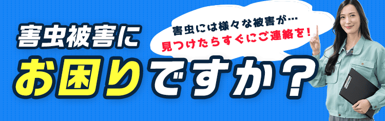 ゴキブリ被害にお困りですか？ゴキブリには様々な被害が…見つけたらすぐにご連絡を！