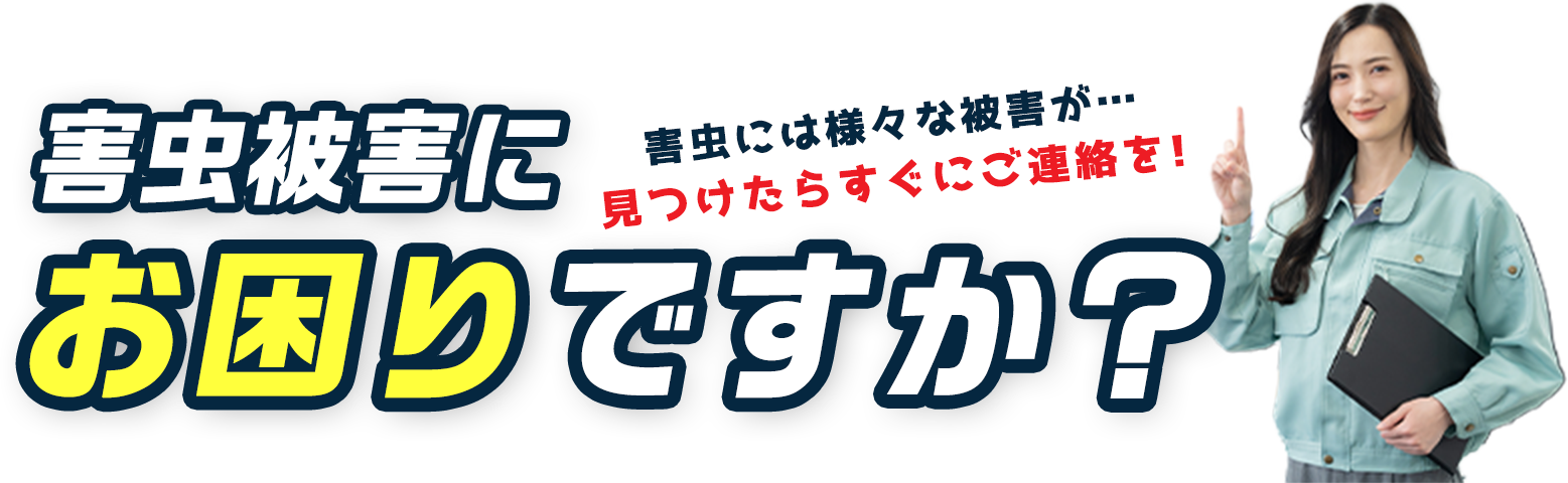 ゴキブリ被害にお困りですか？ゴキブリには様々な被害が…見つけたらすぐにご連絡を！